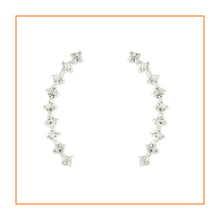 Load image into Gallery viewer, Jewelled Climber