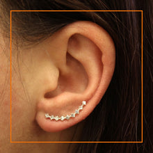 Load image into Gallery viewer, Jewelled Climber
