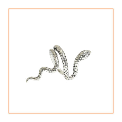 Small Snake